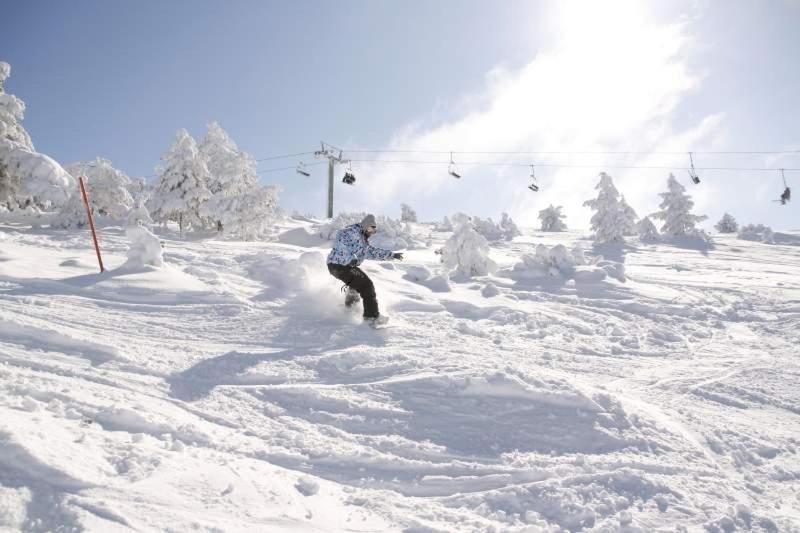 Ski & Nature Javalambre Камарена-де-ла-Сьерра Экстерьер фото